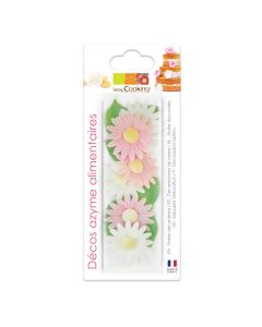 Scrapcooking Madelief & Blad Decoratie Set/12